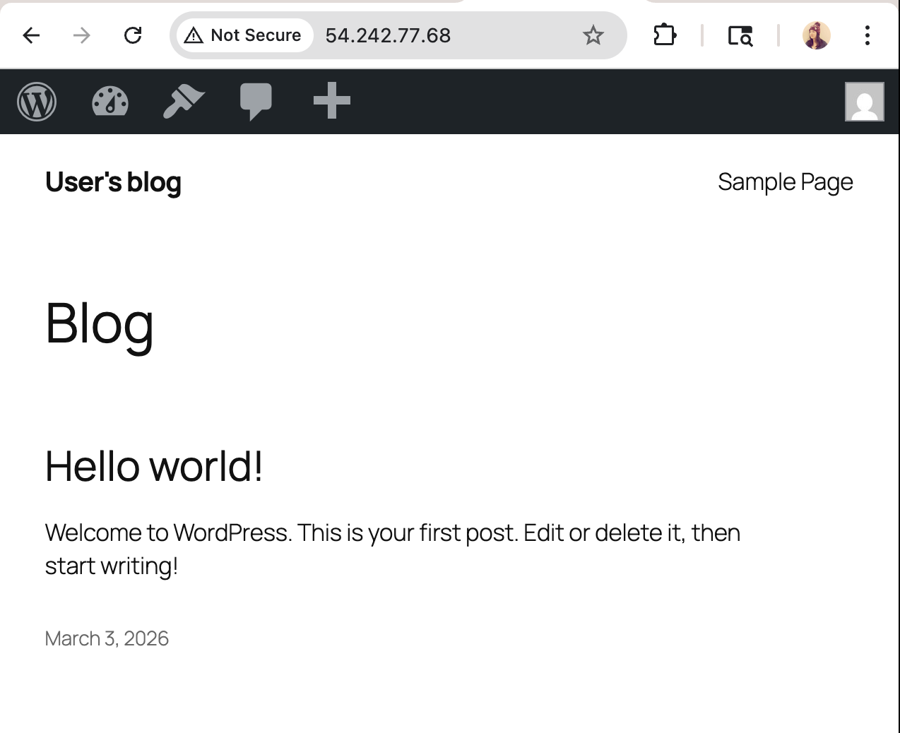 Public IP access to WordPress blog