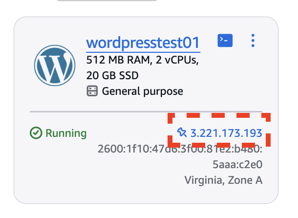 the new static public IP address for the Lightsail instance